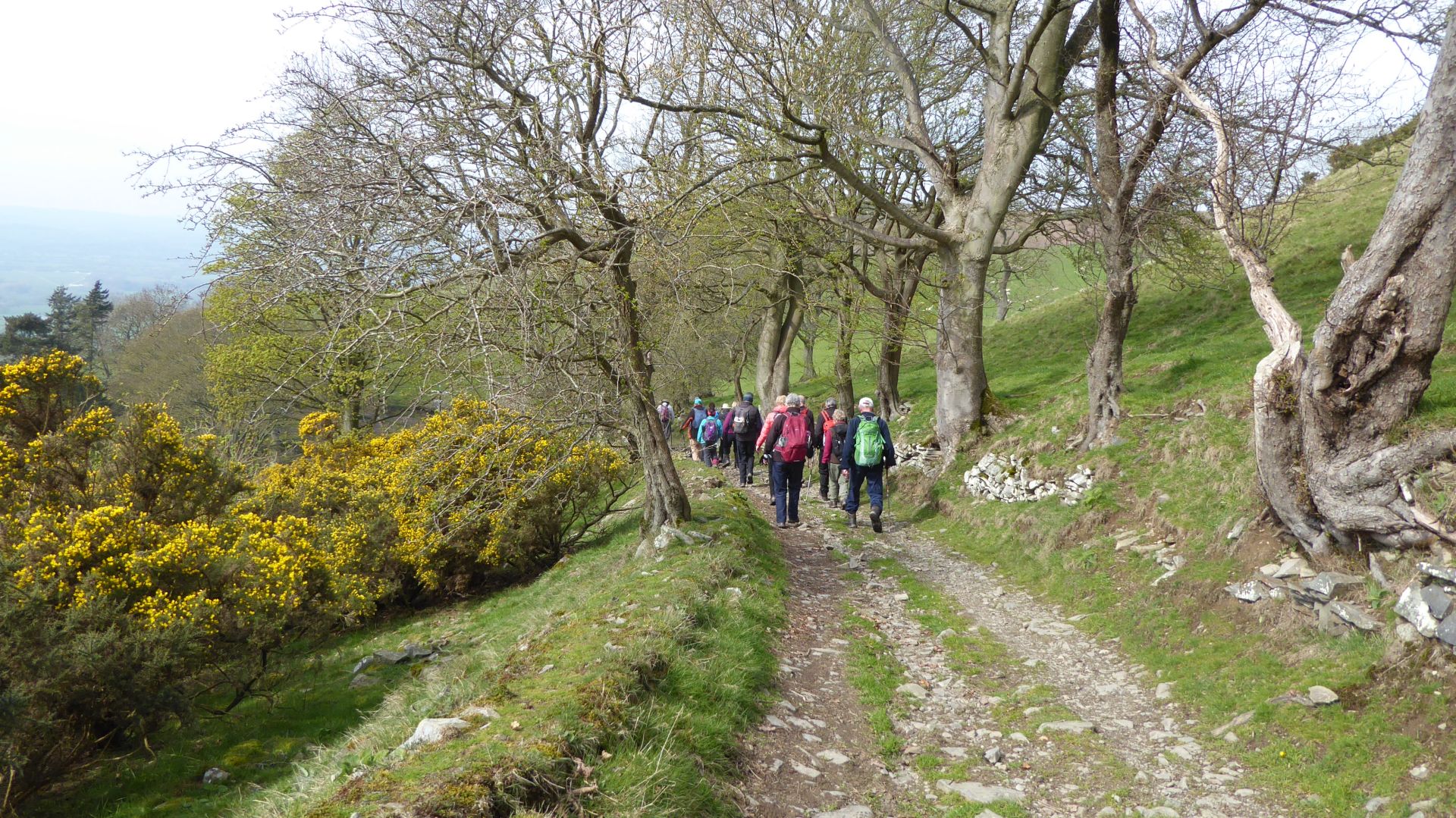 Track on Penycloddiau